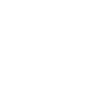 leem-1